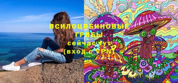 ECSTASY Навашино