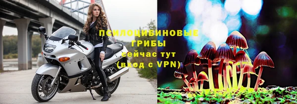 a pvp Надым