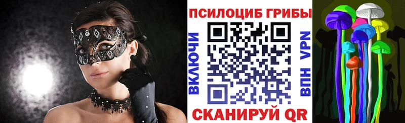 МЕГА ссылки  купить  сайты  Новокузнецк  Галлюциногенные грибы ЛСД 