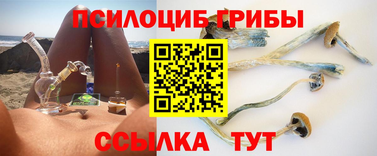 где продают   Вход с VPN  Новокузнецк  Галлюциногенные грибы Psilocybe 